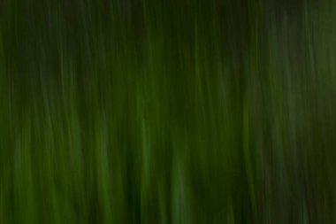 Yeşil otlar Yeşil arkaplan