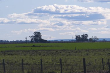Buenos Aires, Arjantin 'deki otlak alanları