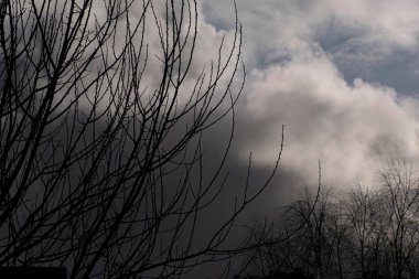 cookie with cream and chocolate , om the table