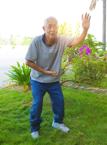 Chinesischer Senior Führt Tai Chi Auf Grünem Außengelände Vor — Stockfoto