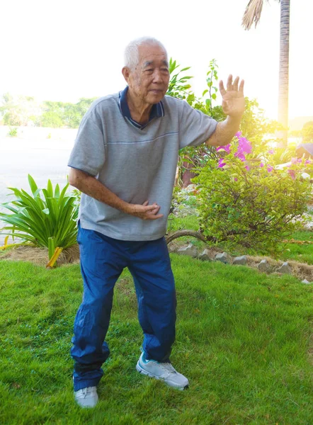 Chinesischer Senior Führt Tai Chi Auf Grünem Außengelände Vor — Stockfoto