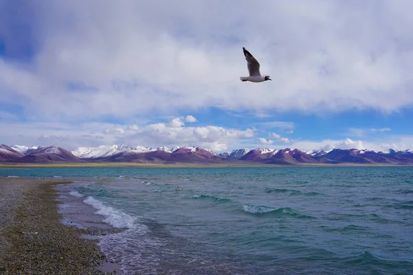 Yamdrok Yumtso Gölü Tibet Güneyindeki Tibet Özerk Bölgesi Nin Beşinci — Stok fotoğraf