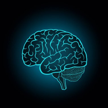 Koyu mavi arka planda insan beyninin şematik Illustration