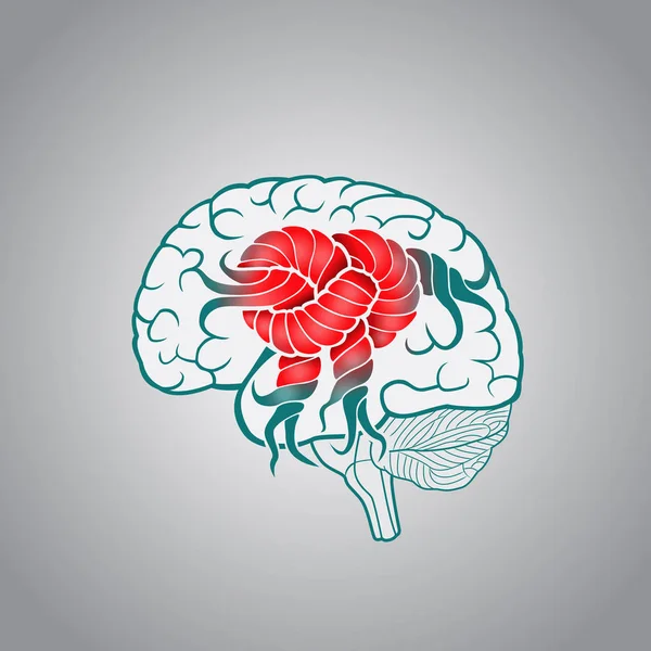 Gehirn mit Windungen im Zusammenhang mit dem Knoten, das Konzept der Erholung des Gehirns, Gedächtnis, Schlaganfall — Stockvektor