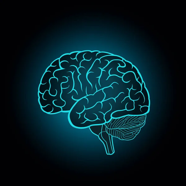 Ilustração esquemática do cérebro humano sobre um fundo azul escuro —  Vetores de Stock