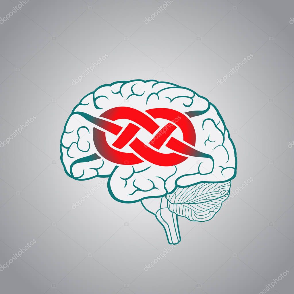 Brain with convolutions associated to the knot
