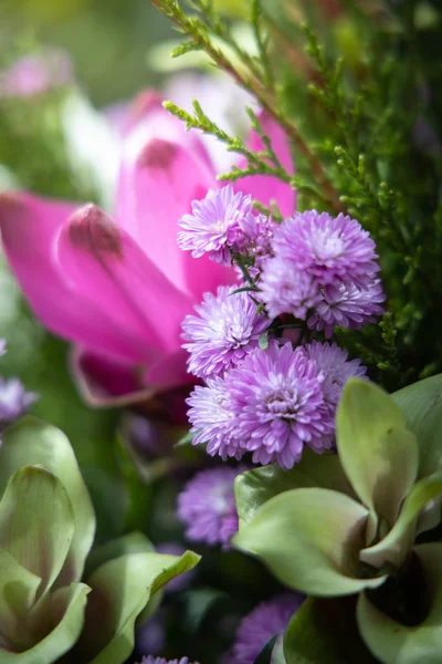 The background image of the colorful flowers — Stock Photo, Image