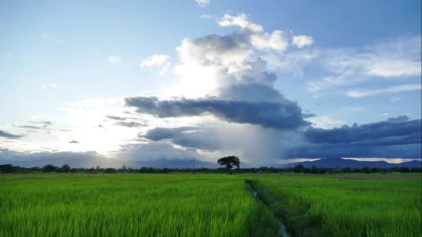 Hızla Hareket Eden Bulutlarla Birlikte Zaman Ayarlı — Stok video