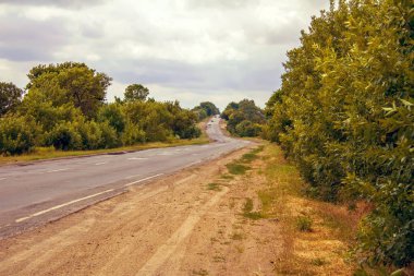 Tarlalar arasındaki köy yolu