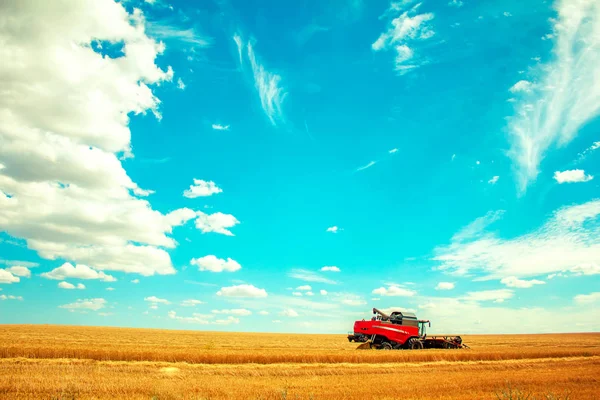 フィールドにハーベスタ収穫の小麦 — ストック写真