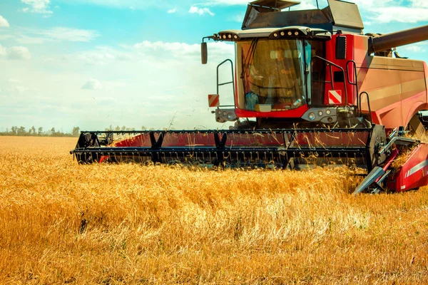 Harvester Harvests Wheat Field Blue Sky — Stock Photo, Image