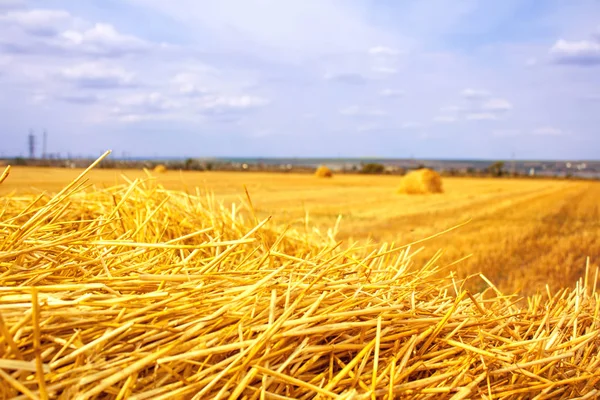 Heuhaufen Nach Der Ernte Auf Dem Feld — Stockfoto