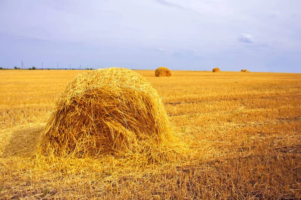 Heuhaufen Nach Der Ernte Auf Dem Feld — Stockfoto