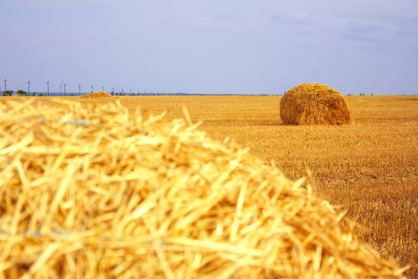 Heuhaufen Nach Der Ernte Auf Dem Feld — Stockfoto