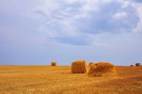 Heuhaufen Nach Der Ernte Auf Dem Feld — Stockfoto