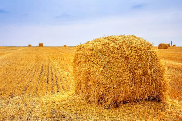 Haystacks Harvest Field — Stock Photo, Image