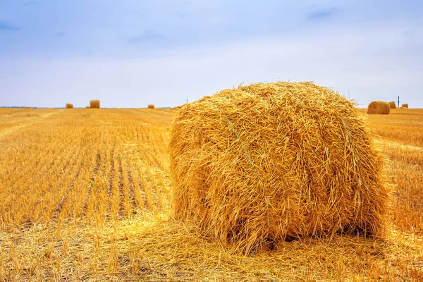 Heuhaufen Nach Der Ernte Auf Dem Feld — Stockfoto