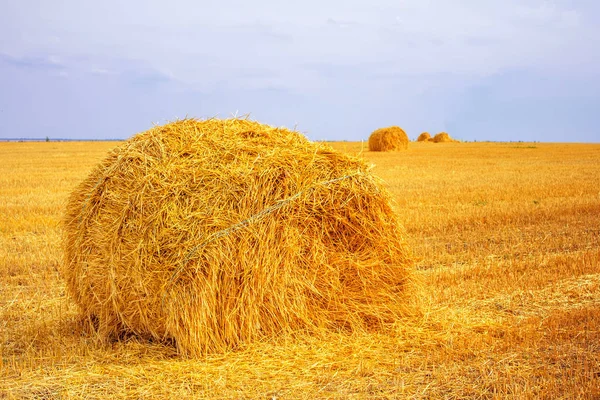 Pajar Después Cosecha Campo — Foto de Stock