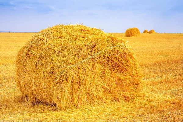 Heuhaufen Nach Der Ernte Auf Dem Feld — Stockfoto