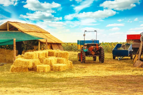 Casa Fieno Trattore Nel Campo Dei Girasoli — Foto Stock