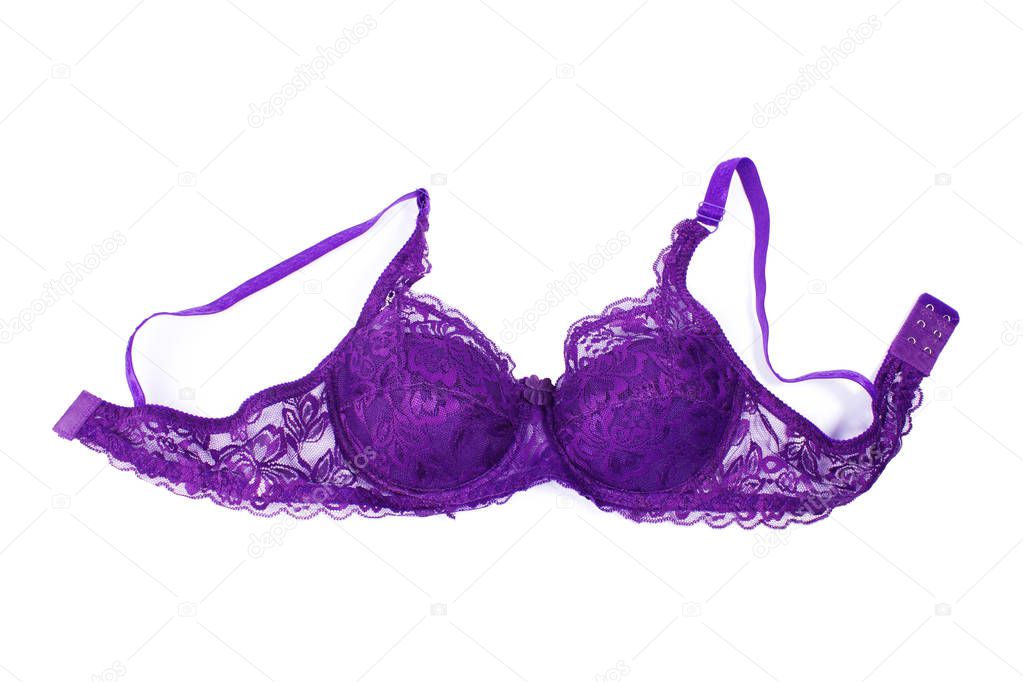  lace purple bra on a white background