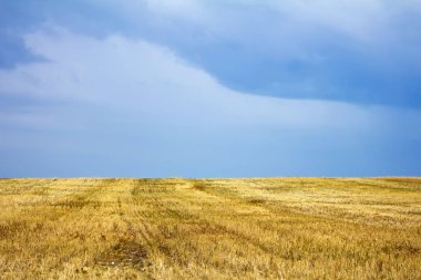bir fırtına mavi gökyüzü ve bulutlar önce hasat alan