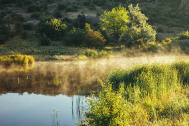 Aktovsky Kanyonu, Ukrayna, taşlı bir vadi ve bir nehir.