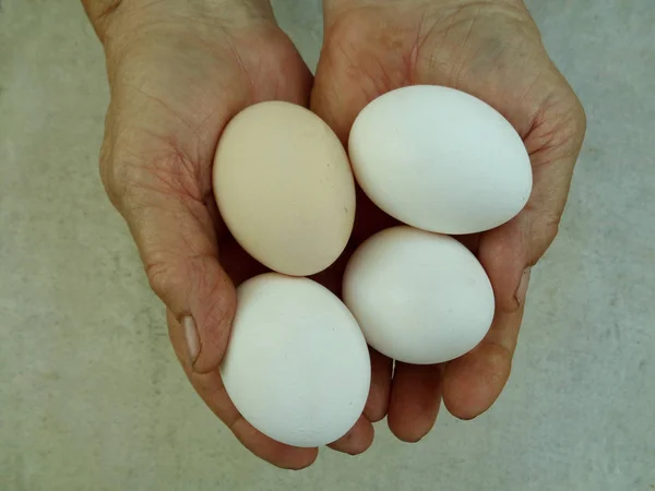 Человеческие Руки Держат Птичьи Яйца — стоковое фото