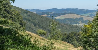 Karpat Dağları 'ndaki Borzhava Sırtı' nın güneşli bir yaz gününde yemyeşil ormanlar ve açık mavi gökyüzü, doğanın ve açık havanın güzelliğini yakalıyor..