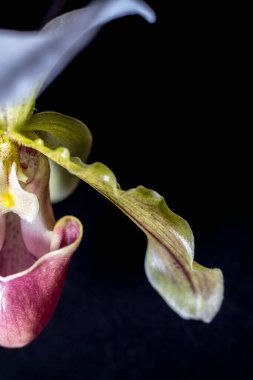 Tranquil view of the Cyprus coastline at evening time with rocks scattered on a sandy beach, calm sea, and colorful sunset sky over the horizon, reflecting the serene beauty of the Mediterranean