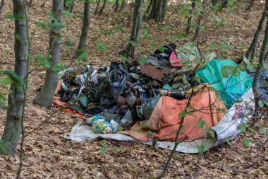 Karpat ormanlarına saçılmış çöp yığını, çevresel kirliliği ve doğa üzerindeki insan etkisini sembolize ediyor, atık ve ekosistem koruması sorunu hakkında farkındalığı artırıyor.
