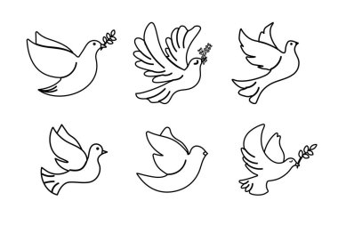 Barış zeytin dalı süsleme ile hazırlanmış güvercinlerin ana hatları