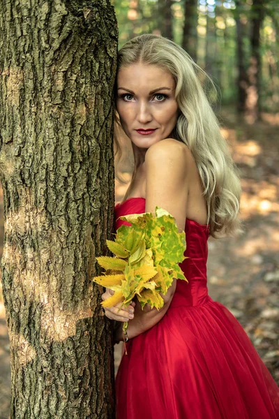Foresta fiaba bella ragazza si trova in un lungo vestito rosso vicino all'albero e derizht mano Maple foglia gialla foresta autunnale — Foto Stock
