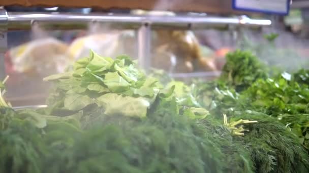 Água Transforma Vapor Cebolas Endro Salsa Salsa Sobre Verduras Todos — Vídeo de Stock