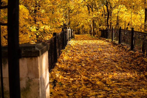 Outono - Uma ponte antiga em um parque frondoso de outono — Fotografia de Stock