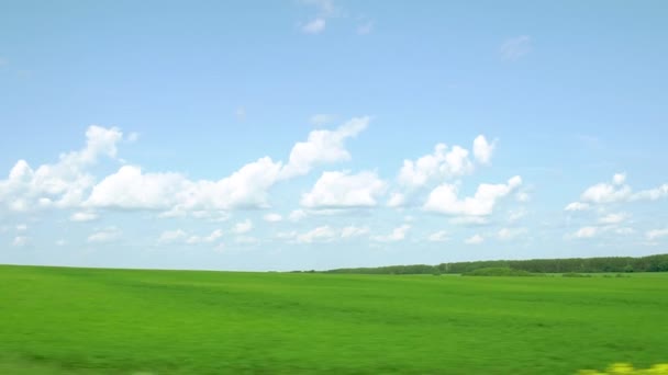 Cielo blu, campo verde, movimento auto sulla strada estate, il sole splende — Video Stock