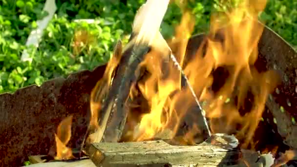 Grilované grilované uhlíky hoří jasnými plameny tím, že se natočí zblízka. Zelená tráva — Stock video