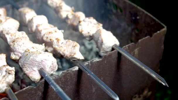 El carbón a la parrilla de pollo a la parrilla es un delicioso kebab fragante de cerca. — Vídeos de Stock