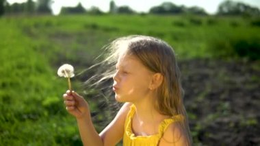 Mutlu bir genç kız, yeşil çimlerin ve mavi gökyüzünün arka planına karşı konseptin tadını çıkarmak için güzel bir gülümseme ile bir karahindibanın içine üflüyor..