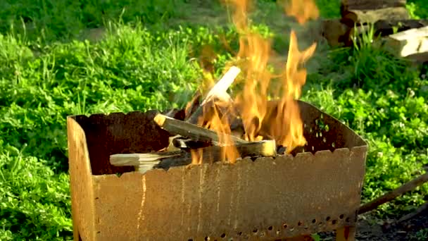 Chuleta de carne de cerdo cocida en la parrilla de barbacoa. Llama de fuego en el fondo. Puedes ver más comida a la parrilla, picnic y escena de fiesta en mi set público . — Vídeos de Stock