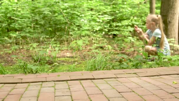 Felice scoiattolo mangia noce su campo verde bianco luce del giorno marrone vuole mangiare — Video Stock