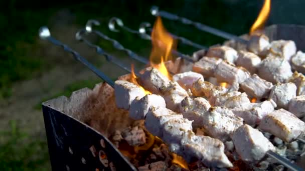 Barbacoa de pollo a la parrilla a la parrilla con parrilla — Vídeos de Stock