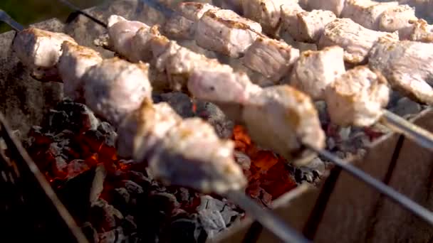 Horno de barbacoa pollo a la parrilla en un fuego exterior — Vídeos de Stock