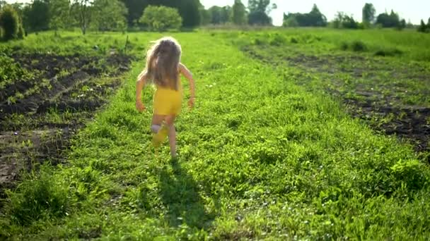 명랑 한 작은 소녀는 푸른 하늘 과 들판의 푸른 잔디에 대한 행복의 아름다운 개념의 분야에서 실행, 우리에게서 도망가는 미소. 푸른 풀 — 비디오