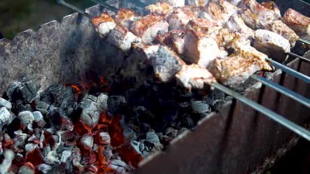 Horno de barbacoa cocinado en una hoguera de pollo en un primer plano parrilla abierta — Vídeos de Stock