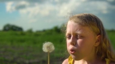 Bir kız caddede büyük bir karahindiba şenliği ateşi üflüyor yeşil çimenlerin ve mavi gökyüzünün arka planına karşı köyde açık renk uzun saçlı. Sıcak yaz doğası