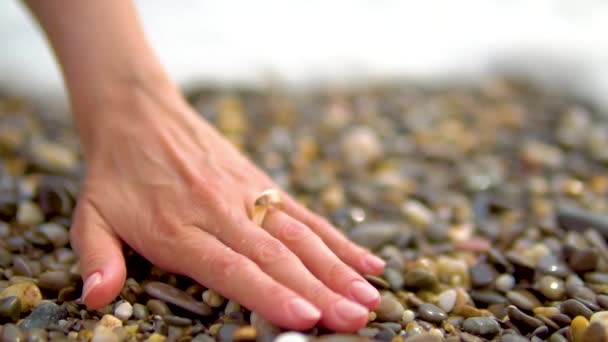 Δαχτυλίδι στη θάλασσα από όστρακα, όμορφες, παραλίες με βότσαλα — Αρχείο Βίντεο