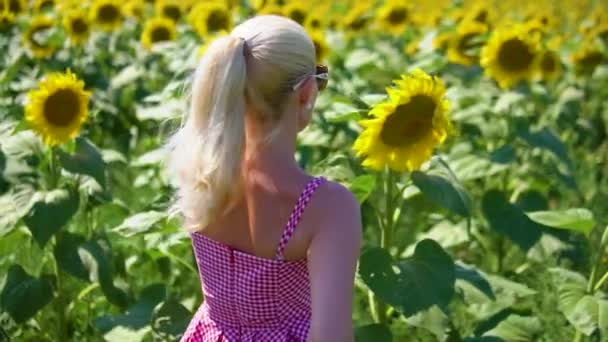 La niña se encuentra en un campo de girasoles y lleva gafas de sol y un vestido a cuadros rojo — Vídeo de stock