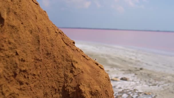 砂は夏の大湖の塩の近くの山からの砂で日当たりの良い天気の良い茶色、ピンクの水で飾られています — ストック動画