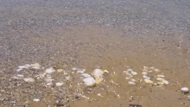 Covid19 la inscripción fue lavada por el agua, la ola del lago, la inscripción fue hecha de piedras, el agua oscura lava la inscripción de la arena — Vídeo de stock